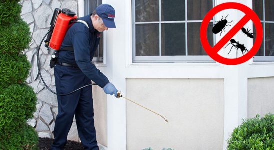 Tavşanlı Böcek İlaçlama böcek ilaçlama ve haşere kontrolü — ilaclama-tr.com